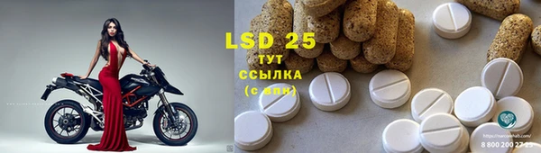 МДПВ Нея