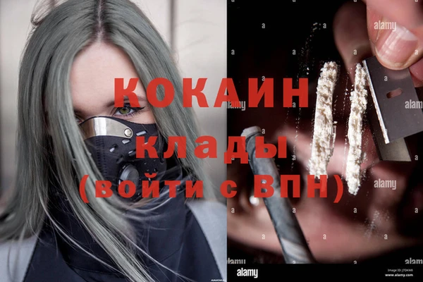 шишки Нефтегорск