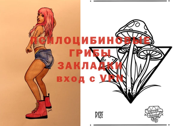 МДПВ Нея